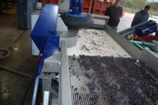 Une Formule 1 pour les raisins