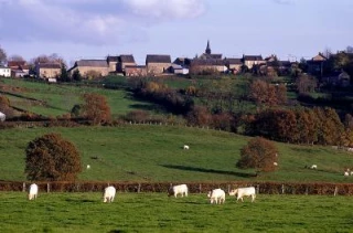 Journée d'information sur l'installation  et la transmission agricoles en Morvan