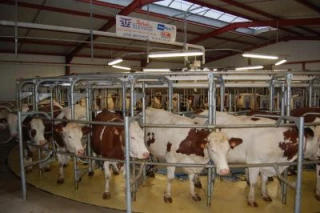 Un outil pour traire 160 vaches