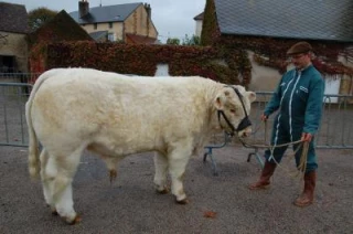 Alain Guinot: «Les effectifs se maintiennent difficilement mais la qualité progresse encore»