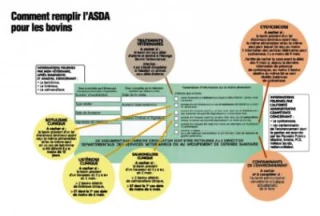 Les défauts de transmission de l'ICA pénalisés au 1er novembre 2013