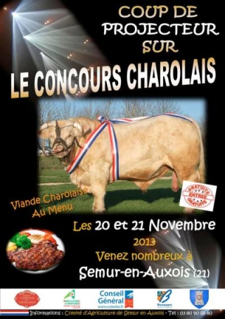 Semur-en-Auxois, la référence départementale