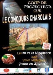 Semur-en-Auxois, la référence départementale