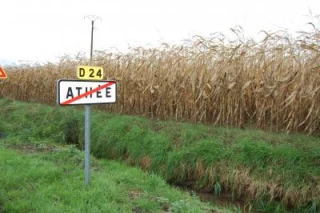 Sale temps pour le maïs