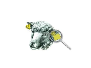 Fin des subventions des boucles electroniques