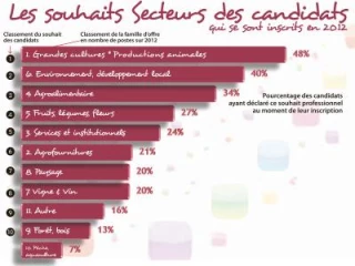 Emploi : un marché en dents de scie