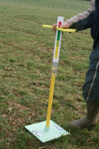 Le suivi des agnelles de renouvellement aussi!