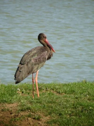 De nouvelles actions à destination du monde agricole 