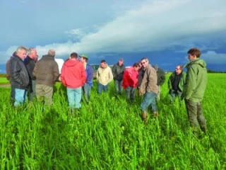 Rencontres autour des engrais verts  et de la simplification du travail du sol