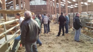 La Blonde d’Aquitaine en assemblée