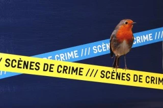 Sur la piste des prédateurs
