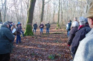 «Sauver les petites propriétés forestières  mais aussi les exploiter»