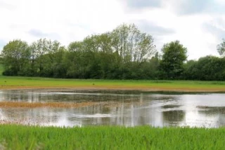Reconnaissance des calamités agricoles