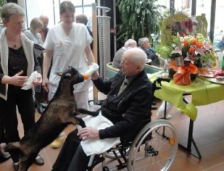 Quand les animaux viennent  aux patients et aux écoles