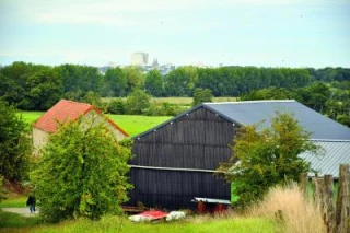 Ralentissement de la baisse du nombre de non-salariés agricoles