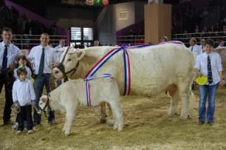 Les Nivernais en ordre de marche  vers Paris