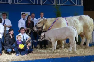 Encore une vache nivernaise sacrée championne de Paris 2014