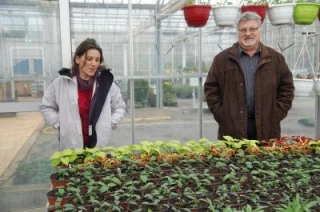 L’horticulture: un secteur méconnu et diversifié qui recrute en France