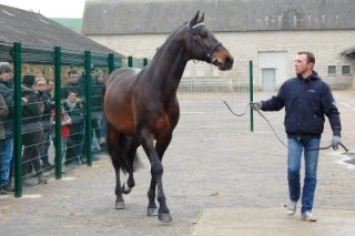 Portes Ouvertes au Haras de Charmoy