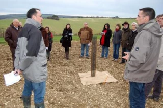 Quand les arbres deviennent «pompes à nitrates»
