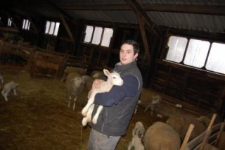 Les moutons, son choix de production