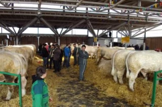 Une foire qualitative en Sud-Morvan 