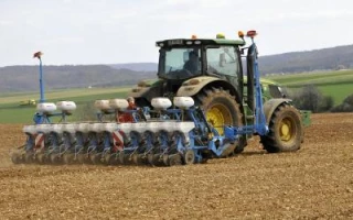 Faire le choix du tournesol... et réussir son implantation