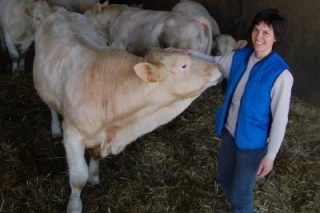 La Fédération joue les prolongations