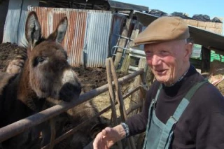 Un animal qui «ne sert à rien» ?