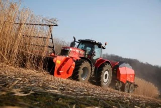 Récolte de miscanthus dans le canton de Genlis