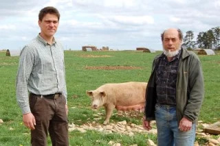La filière porcine doit faire face à la concurrence européenne