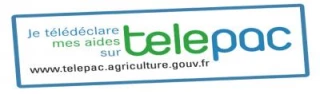 Jusqu’au 15 mai  pour télédéclarer