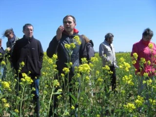 Ecophyto : observer, tester, comprendre, agir...