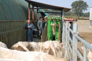 Bovins croissance à la rencontre des étudiants de Challuy