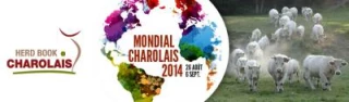 Magny-Cours... le nouveau centre  du monde charolais