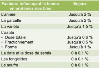Relever le défi protéines des blés