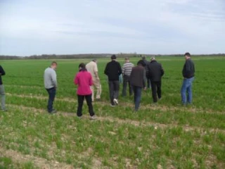 Agriculture biologique : les conditions de la réussite