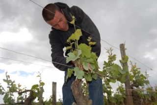 Enfin une belle année?