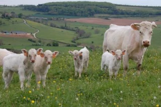 Une famille en bonne santé