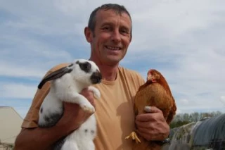 Lapin/volaille : qui a le plus de succès ?