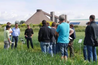 Une plateforme qui rayonne