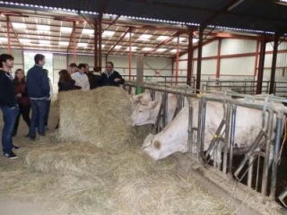 Témoignage de la transmission du fruit d’une passion !