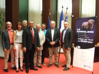 La charolaise défend son titre de 1ère race allaitante