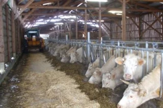 2/9 Dossier bâtiment: Analyser le coût de fonctionnement des bâtiments pour les vaches allaitantes