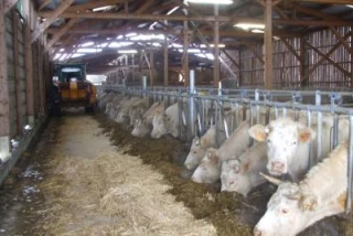 2/9 Dossier bâtiment: Analyser le coût de fonctionnement des bâtiments pour les vaches allaitantes