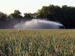 L’agriculture défend sa part du gâteau