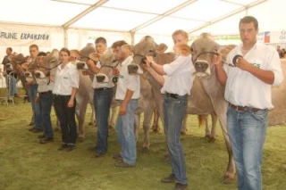 Rendez-vous ce week-end à Châtillon
