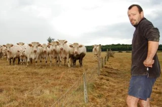 Quand l’herbe vient à manquer