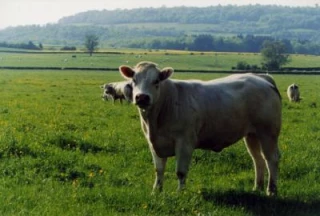 «L’IGP, on a tout à y gagner»
