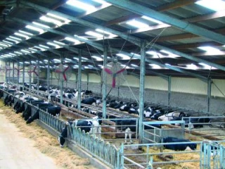 La reproduction nécessite des repères pour être précis